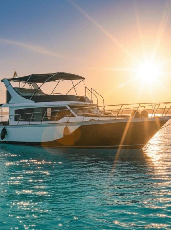 Gemini_Generated_Image_48fm5f48fm5f48fm