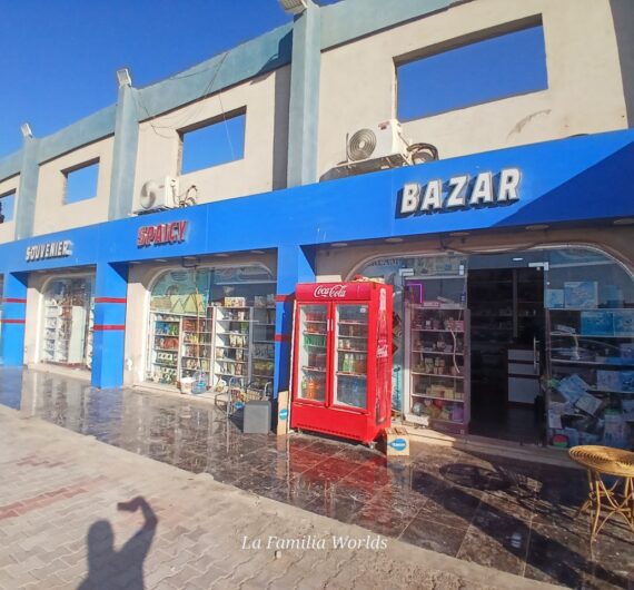 photo_2025-11-03 17.29.31