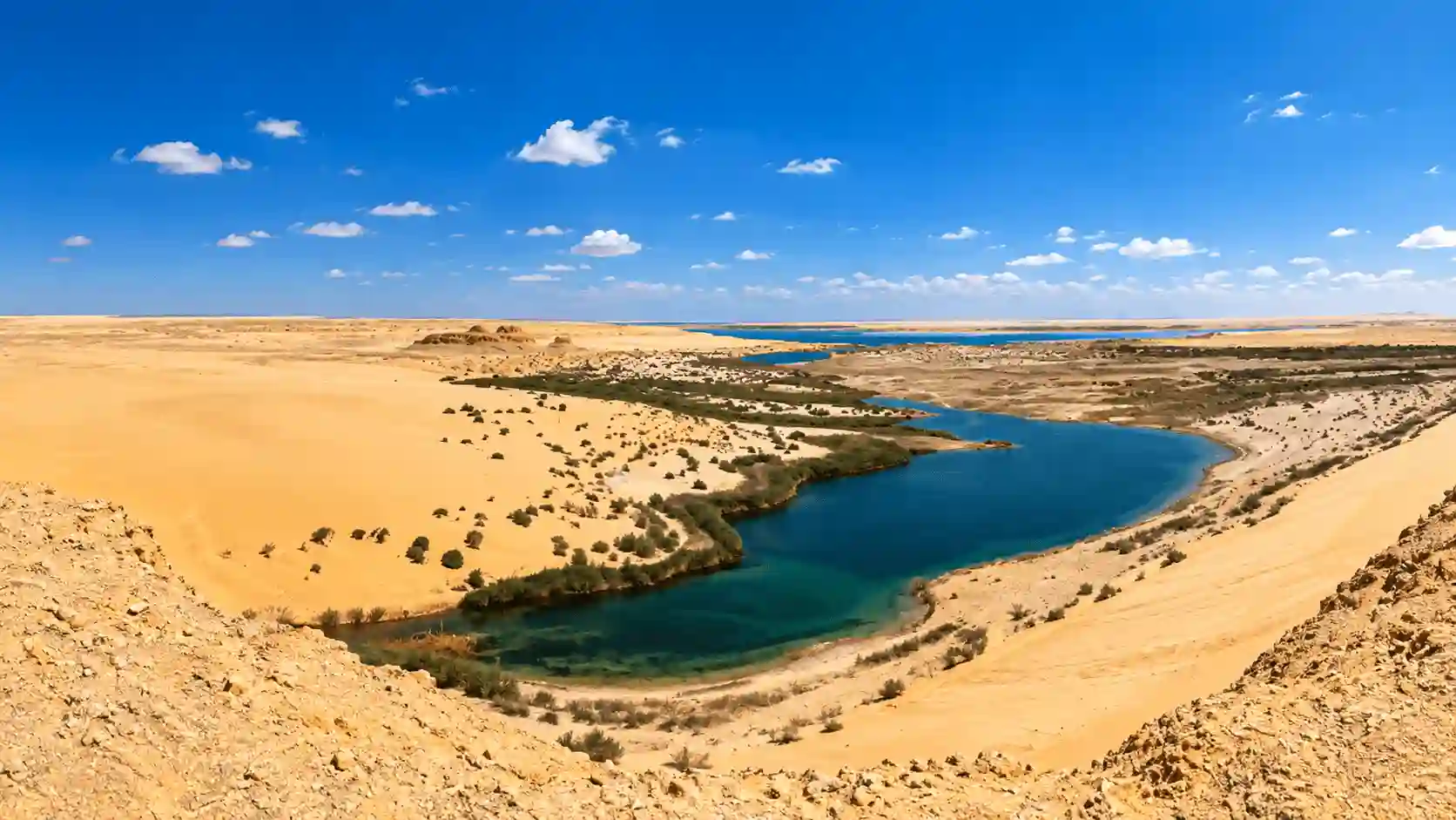 Desert Oasis Lagoon Vista