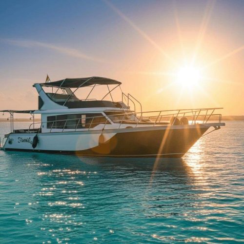 Gemini_Generated_Image_48fm5f48fm5f48fm