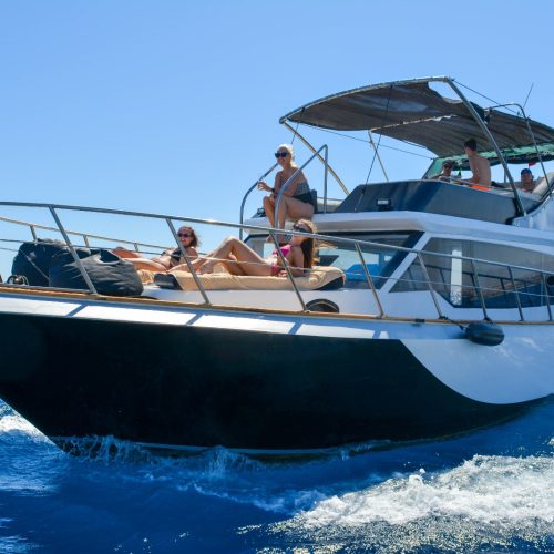 f8d616c8-fa1e-44ce-b9cc-ce6480406a99