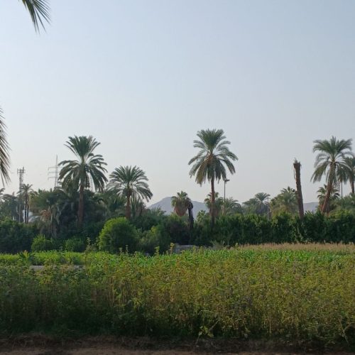 photo_2025-11-02 13.33.37