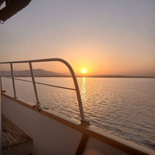 photo_2025-11-02 14.17.20