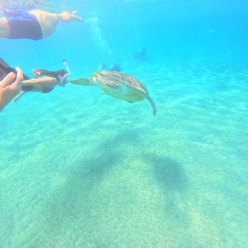 photo_2025-11-04 07.53.48