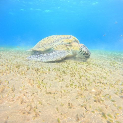 photo_2025-11-04 07.53.49