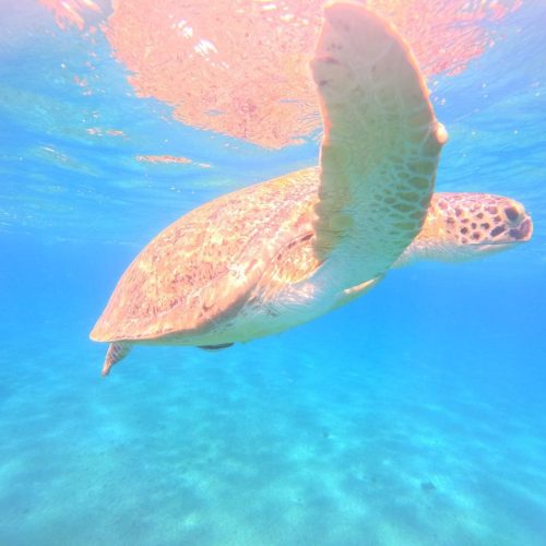 photo_2025-11-04 07.53.51