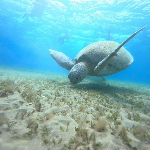 photo_2025-11-04 07.53.52