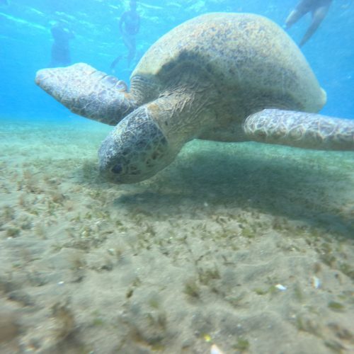 photo_2025-11-04 07.53.53