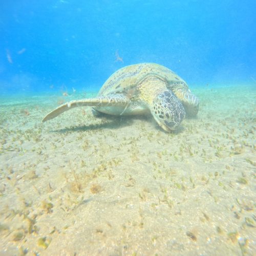 photo_2025-11-04 07.53.55