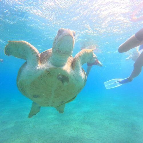 photo_2025-11-04 07.53.56