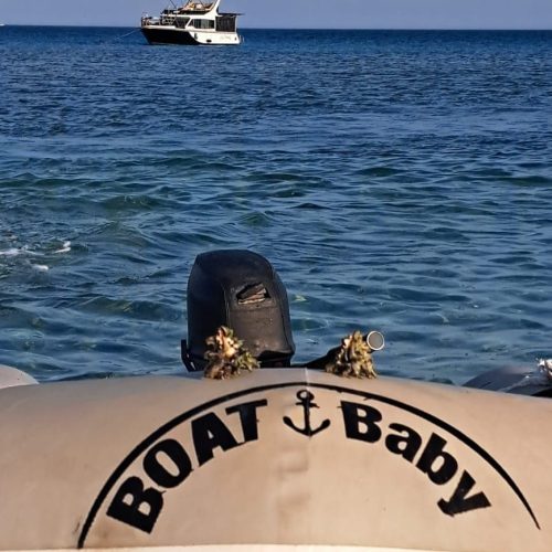 photo_2025-11-04 07.54.03