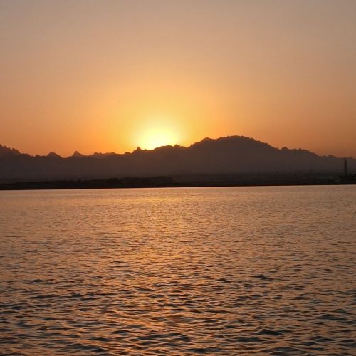 photo_2025-11-04 07.54.37