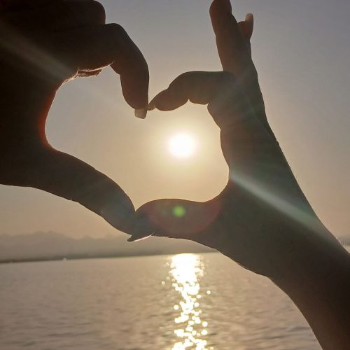 photo_2025-11-04 07.54.45