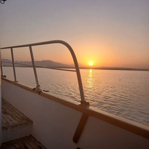 photo_2025-11-04 07.55.17