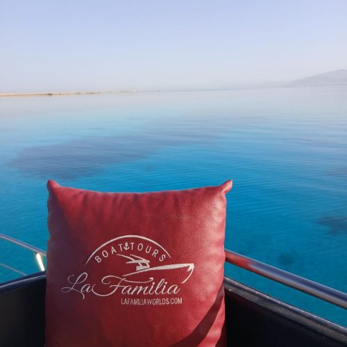 photo_2025-11-04 07.55.18