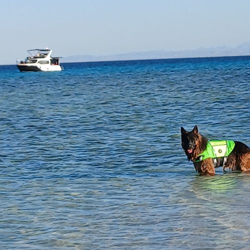 photo_2025-11-04 07.55.20