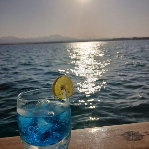 photo_2025-11-04 07.55.22