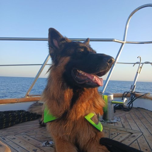 photo_2025-11-04 08.03.26