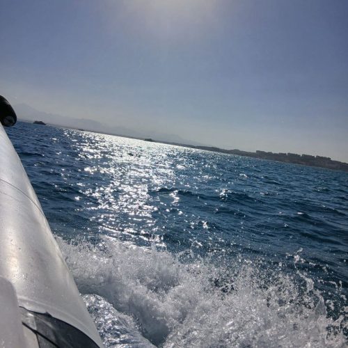 photo_2025-11-04 08.09.38