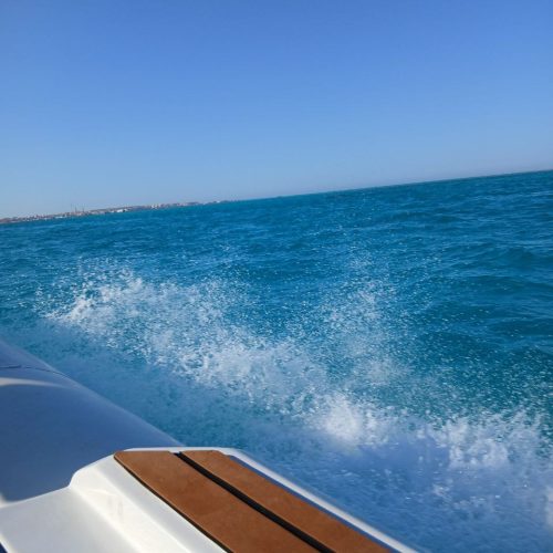 photo_2025-11-04 08.09.40