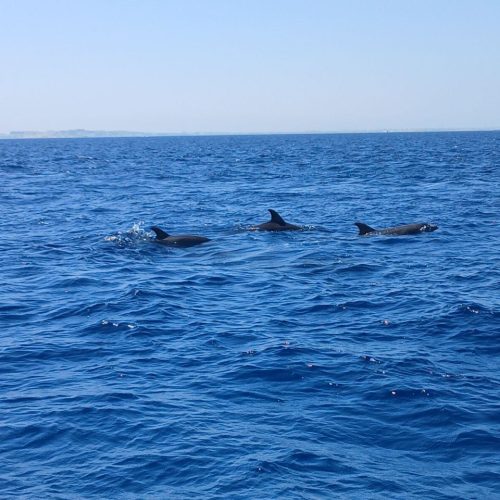 photo_2025-11-04 08.09.49