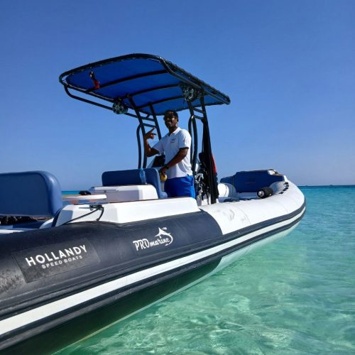 photo_2025-11-04 08.09.52