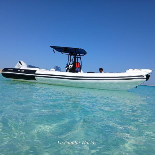 photo_2025-11-04 08.09.53