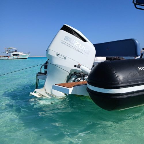 photo_2025-11-04 08.09.54