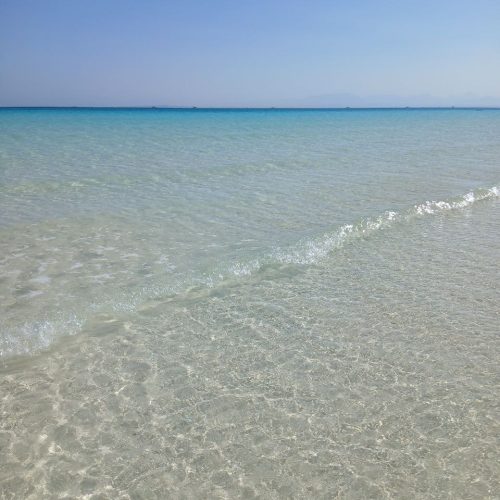 photo_2025-11-04 08.09.59