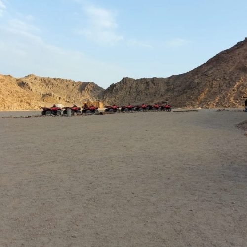 photo_2025-11-04 08.16.06 (1)