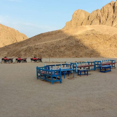 photo_2025-11-04 08.16.06