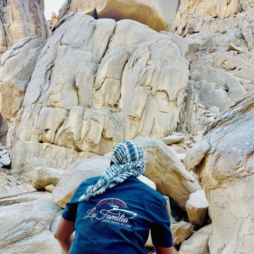 photo_2025-11-04 08.16.17 (1)