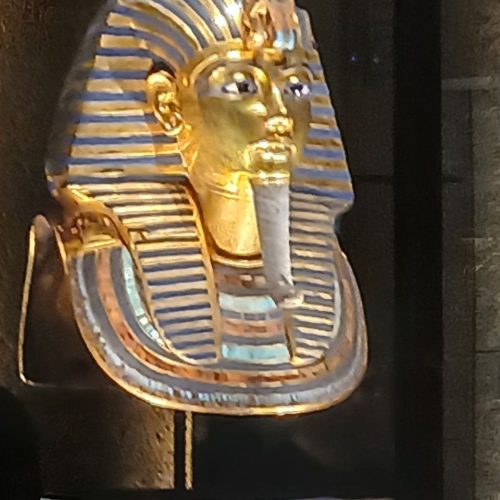 photo_2025-11-06 23.02.27 (1)