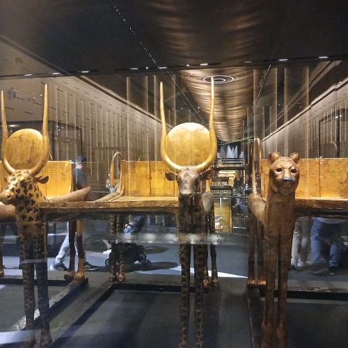 photo_2025-11-06 23.02.29